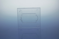 Plastov tray na USB kartu Digipak, priehadn, 138 x 125 mm